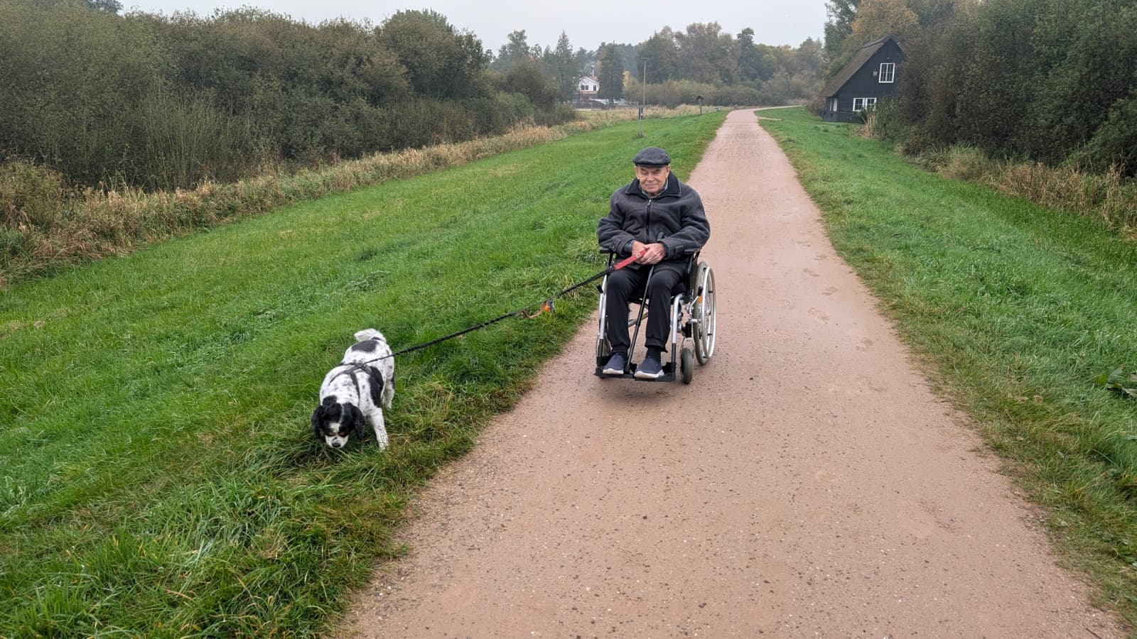 Walk with the dog